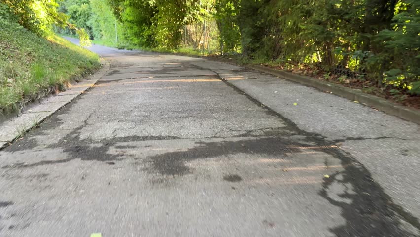 A beautiful and scenic winding pathway gracefully surrounded by vibrant, lush greenery