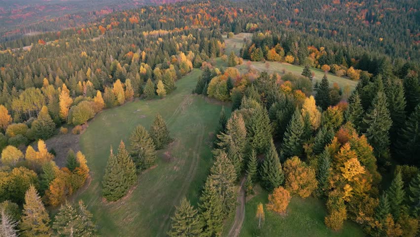 Aerial View of Autumn Forest Landscape with Colorful Trees and Winding Path
