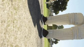 Animation of social media notifications over caucasian male cricketer batting in sun. Social network, sport, competition, digital interface and communication, digitally generated video. - Powered by Shutterstock - Get 15% off with code: PIKWIZARD15