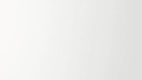 Animation of flash sale text over shopping bag. Shopping and digital interface concept digitally generated video. - Powered by Shutterstock - Get 15% off with code: PIKWIZARD15