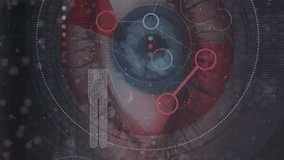 Animation of data processing and network of connections over eye. Global business, finances and digital interface concept digitally generated video. - Powered by Shutterstock - Get 15% off with code: PIKWIZARD15