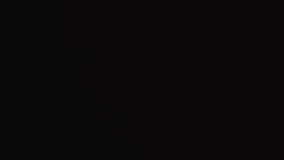 Animation of bitcoin and connections over data processing. Technology, security and digital interface concept digitally generated video. - Powered by Shutterstock - Get 15% off with code: PIKWIZARD15