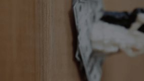 Animation of data processing over married couple figure and banknotes. animals and digital interface concept digitally generated video. - Powered by Shutterstock - Get 15% off with code: PIKWIZARD15