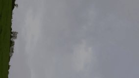 Animation of financial data processing over wind turbine in countryside. Global environment, green energy and sustainability concept digitally generated video. - Powered by Shutterstock - Get 15% off with code: PIKWIZARD15