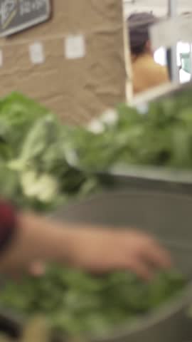 A vendor in the Ferry Building, San Francisco, California, USA, sorts fresh basil at a farmer's market. The basil is on sale for $1. The vendor wears a red and black flannel shirt. 