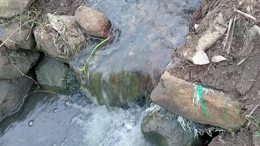 water flowing in the water channel at the edge of the rice field