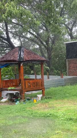 storm wind rain lightning green trees