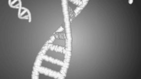 DNA strands and bokeh lights, scientific data processing animation. Science, technology, research, genetics, biology, chemistry - Powered by Shutterstock - Get 15% off with code: PIKWIZARD15