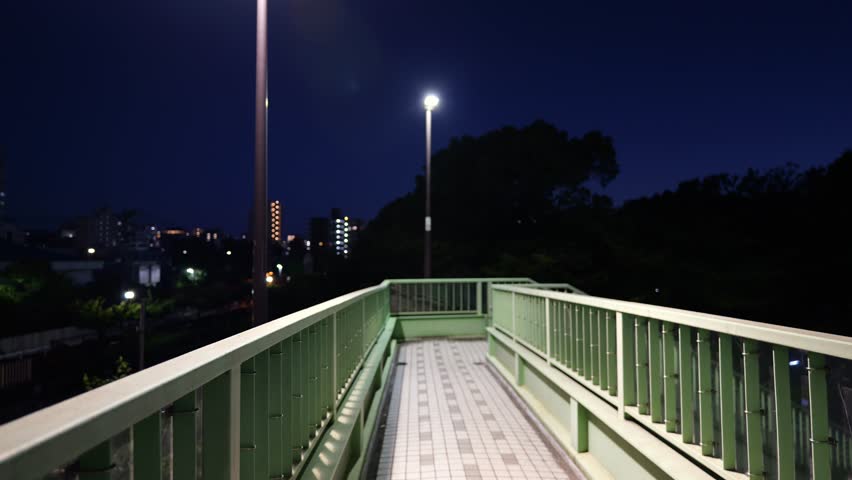 Kiba Park, Japan Tokyo Night View 2025