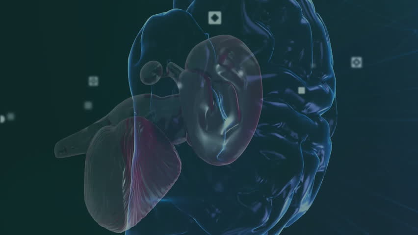 Animation of viewfinders, human brain and dynamic wave pattern over abstract background. Digitally generated, hologram, illustration, anatomy, data, connection, artificial intelligence and technology. - Powered by Shutterstock - Get 15% off with code: PIKWIZARD15