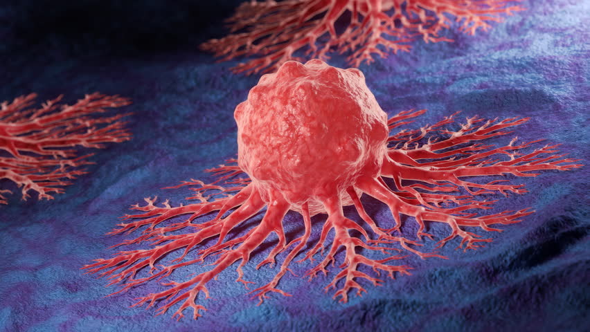 Human Cancer Cell microscopic 3d animation