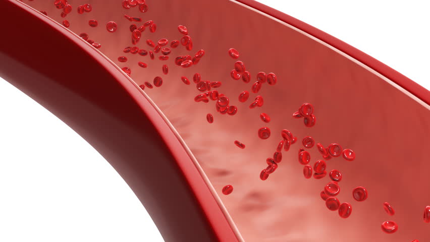 Red blood cells and cholesterol in blood vessels, 3d animation