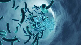 Probiotics, good bacteria that move through the intestines - Powered by Shutterstock - Get 15% off with code: PIKWIZARD15