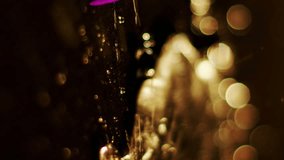 Animation of fir tree branches over christmas dna strand spinning. Global communication and digital interface technology concept digitally generated video. - Powered by Shutterstock - Get 15% off with code: PIKWIZARD15