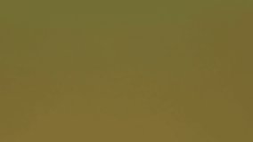 Animation of confetti over african american male rugby player jumping. Sport and digital interface concept digitally generated video. - Powered by Shutterstock - Get 15% off with code: PIKWIZARD15