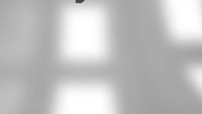 House-shaped keychain animation over blurred white background. real estate, home, interior, decorative, accessory, moving - Powered by Shutterstock - Get 15% off with code: PIKWIZARD15