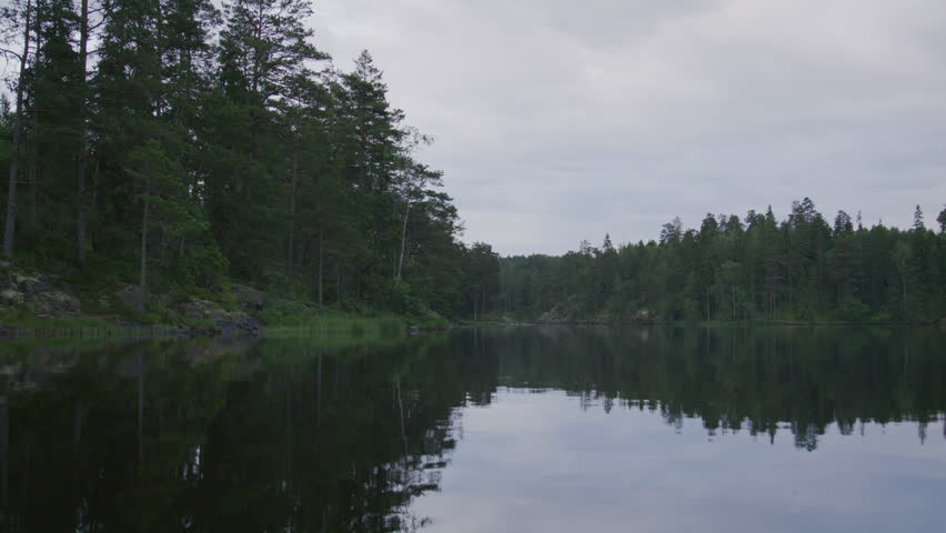 Shutterstock Video