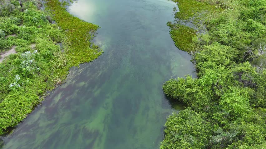 The Pantanal is the largest wetlands in the world.