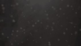 Animation of social media icons and numbers over out of focus city and car lights. Connection technology and digital interface concept digitally generated video. - Powered by Shutterstock - Get 15% off with code: PIKWIZARD15