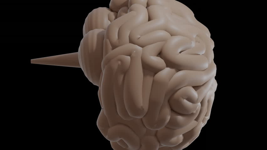 Animation of mathematical equations over rotating brain on black background. Connection, science, mathematics, research, ai, digital interface and communication, digitally generated video. - Powered by Shutterstock - Get 15% off with code: PIKWIZARD15