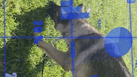 Charts and graphs animation over dog sniffing grass in park. Technology, data, analytics, nature, pet, outdoor - Powered by Shutterstock - Get 15% off with code: PIKWIZARD15