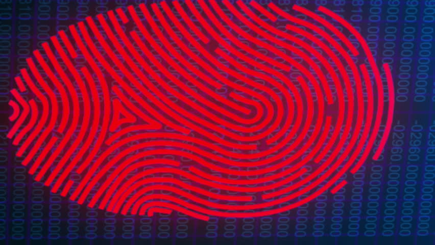 Animation of red shapes and human model over data processing on interface. Global digital interface technology and networking concept digitally generated video. - Powered by Shutterstock - Get 15% off with code: PIKWIZARD15