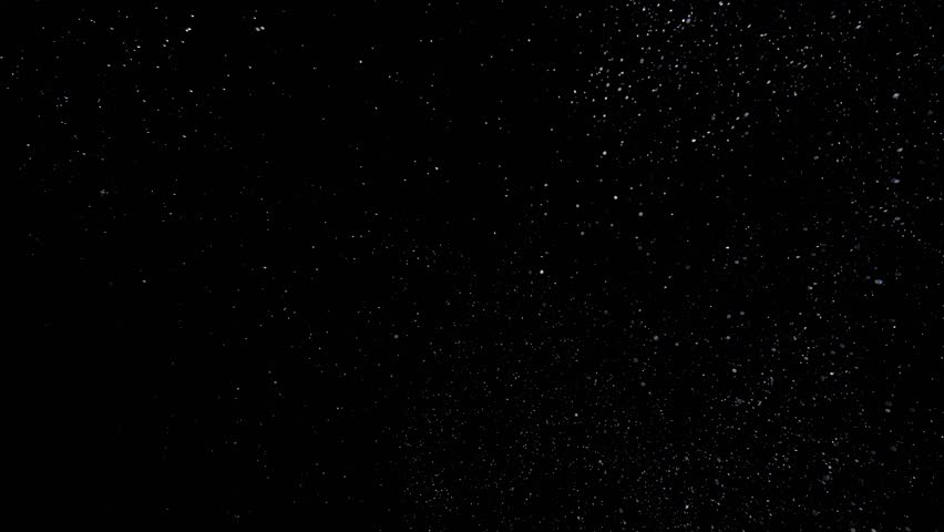 Natural Organic Dust Particles Floating On Black dark isolated Background, Dynamic Dust Particles Randomly Floating In Space, Shimmering Glittering Dust Particles With Bokeh. Snowflakes, Snow Fall