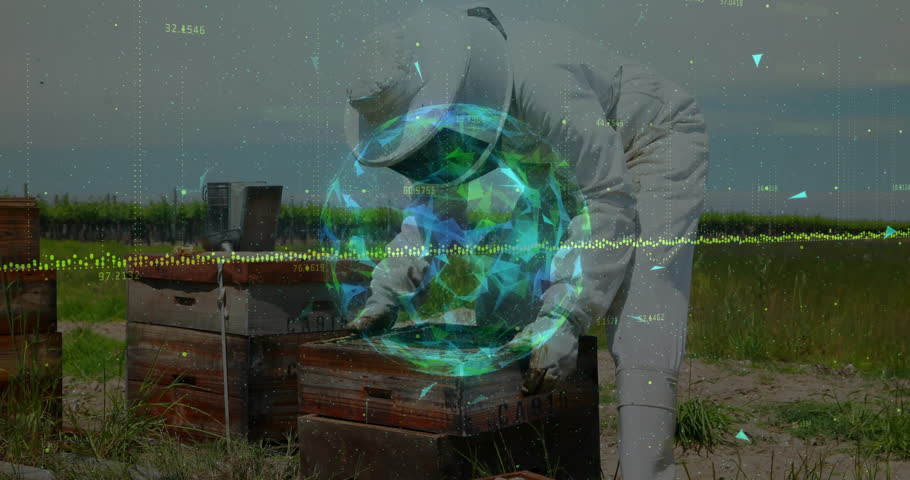 Beekeeper gripping box and prying lid for farm hive inspection as digital globe overlay flickers. Apiary, agriculture, biosecurity, technology, rural, environmental, conservation