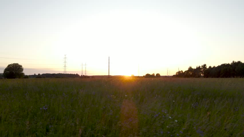 Gorgeous aerial drone footage gliding over a sunset farm filed during golden hour with vibrant colorful golden yellow and orange sun setting behind a grassy tall wheat farm field, electrical lines.