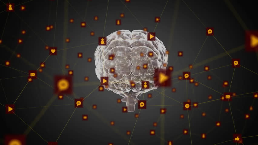 Starting with semi-transparent 3D brain over grid rotating and pulsing icons mapping connections. Neuroscience, data, visualization, digital, technology, connectivity, innovation - Powered by Shutterstock - Get 15% off with code: PIKWIZARD15