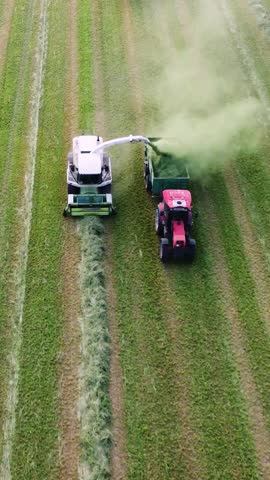 Agricultural modern machinery working in field. Harvesting forage, biomass, grass for dairy farming. High-tech combine loads dried grass from mown grass into tractor trailer. Industrial agriculture.