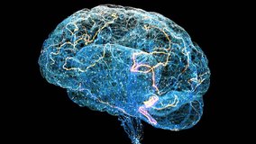 Futuristic 3D Animation Human Brain of Glowing Neural Networks, Electric Impulses and Digital Connections. Data for technology, science, and medical project. Research Black Background Loop Abstract 4k - Powered by Shutterstock - Get 15% off with code: PIKWIZARD15