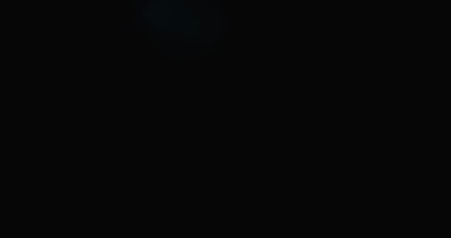 Shutterstock Video