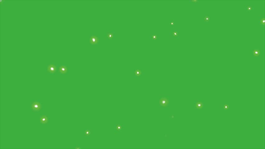 Animation video fireflies moving on green screen background