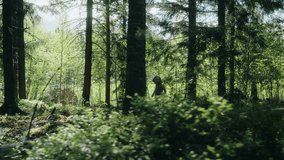 Tracking shot, child runs through woods with sun rays filters through trees - Powered by Shutterstock - Get 15% off with code: PIKWIZARD15