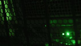 Animation of biometric photo and data processing over computer servers. Global business, finances, computing and data processing concept digitally generated video. - Powered by Shutterstock - Get 15% off with code: PIKWIZARD15