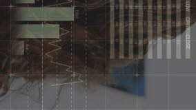 Animation of financial data processing over caucasian female doctor and patient. Global medicine, healthcare, finances and digital interface concept digitally generated video. - Powered by Shutterstock - Get 15% off with code: PIKWIZARD15