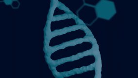 DNA strand and scientific data processing animation over blue hexagonal patterns. Science, genetics, biotechnology, analysis, molecular, research - Powered by Shutterstock - Get 15% off with code: PIKWIZARD15