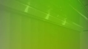 Animation of financial data processing over green background. Global business, connections, computing and data processing concept digitally generated video. - Powered by Shutterstock - Get 15% off with code: PIKWIZARD15