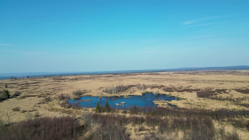 Aerial view of expansive bog with a dark water pond reflecting the clear sky, surrounded by brown grasses and sparse trees, Malmedy, Wallonia, Belgium.