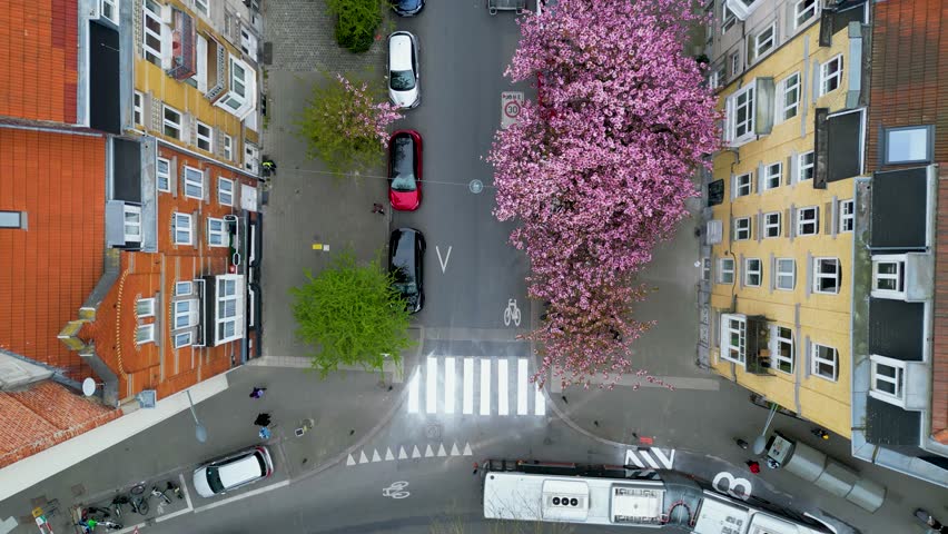 Aerial view of the road with cars parked on the sides, trees with green and pink leaves, and buildings with red roofs, Schaerbeek, Brussels, Belgium.