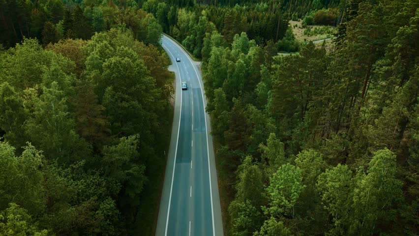 Cars cruising on forest highway. Black SUV and dark sedan driving along tree covered road on cloudy day. Vehicles moving through dense green woodland route