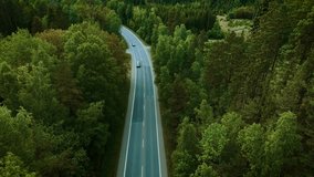 Cars cruising on forest highway. Black SUV and dark sedan driving along tree covered road on cloudy day. Vehicles moving through dense green woodland route - Powered by Shutterstock - Get 15% off with code: PIKWIZARD15