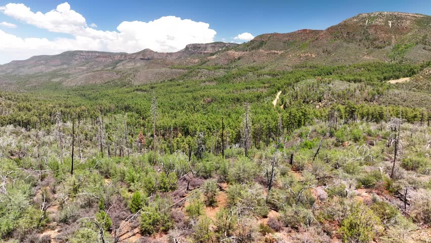 Aerial view of the rugged Armer Mountain and lush forest, a tapestry of green and brown under a blue sky with scattered clouds, Tonto Basin, AZ, United States.