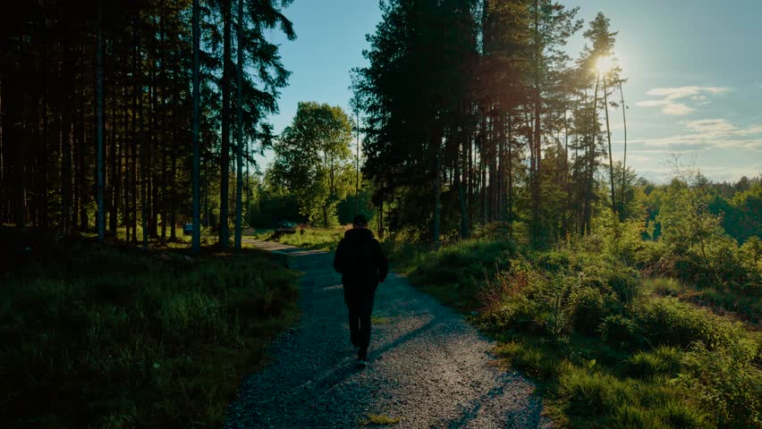 Person walking on gravel forest road in sunny weather. Male strolling through wooded trail under clear blue sky. Traveller hiking along tree-lined path during bright day