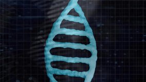 DNA strand and binary coding, scientific data processing animation. Genetics, biotechnology, research, science, bioinformatics, molecule - Powered by Shutterstock - Get 15% off with code: PIKWIZARD15