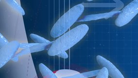 DNA strand and global data analysis animation over blue grid background. Genetics, bioinformatics, biotechnology, research, science, visualization - Powered by Shutterstock - Get 15% off with code: PIKWIZARD15