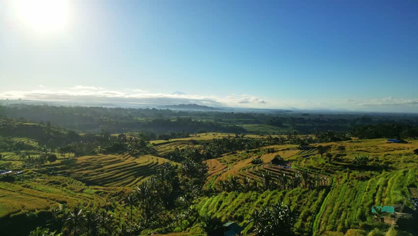 Aerial view of tiered rice terraces, with golden hues against lush green vegetation, creating a stunning landscape, Jatiluwih, Bali, Indonesia.