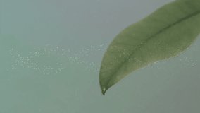 Green leaf entering sparking particles twisting into DNA helix, drop forming and falling for growth. Nature, molecular, science, technology, biomolecular, minimalistic, experimental - Powered by Shutterstock - Get 15% off with code: PIKWIZARD15