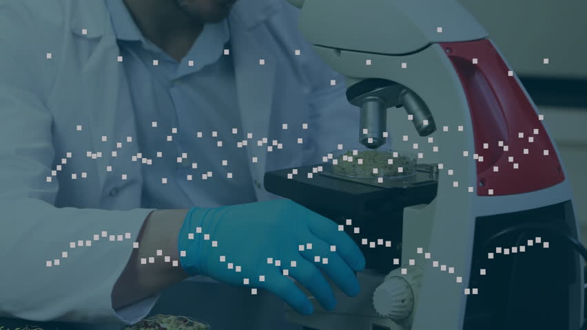 Laboratory scientist placing specimen slide on microscope stage and adjusting focus for analysis. Research, diagnostics, laboratory, microscopy, scientific, technology, analysis - Powered by Shutterstock - Get 15% off with code: PIKWIZARD15